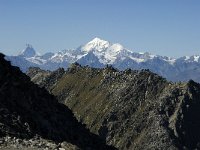 CH, Wallis, Randa, Matterhorn and Weisshorn 1, Saxifraga-Jan van der Straaten