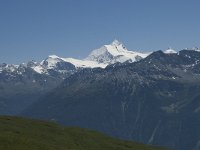 CH, Wallis, Randa, Weisshorn 3, Saxifraga-Willem van Kruijsbergen