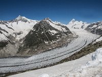 CH, Wallis, Riederalp, Aletschgletscher 1, Saxifraga-Luuk Vermeer