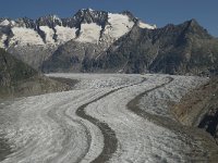 CH, Wallis, Riederalp, Grosser Aletschgletscher 12, Saxifraga-Willem van Kruijsbergen