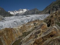 CH, Wallis, Riederalp, Grosser Aletschgletscher 46, Saxifraga-Willem van Kruijsbergen