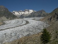 CH, Wallis, Riederalp, Grosser Aletschgletscher 5, Saxifraga-Willem van Kruijsbergen