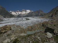 CH, Wallis, Riederalp, Grosser Aletschgletscher 8, Saxifraga-Willem van Kruijsbergen
