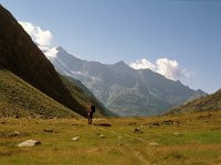 CH, Wallis, Saas-Almagell, Furgthal 17, Saxifraga-Jan van der Straaten