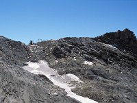 CH, Wallis, Saas-Almagell, Monte Moro Pass 10, Saxifraga-Jan van der Straaten