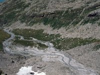 CH, Wallis, Saas-Almagell, Monte Moro Pass 15, Saxifraga-Jan van der Straaten