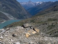 CH, Wallis, Saas-Almagell, Monte Moro Pass 6, Saxifraga-Jan van der Straaten