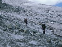 CH, Wallis, Saas-Almagell, Strahlhorn 25, Saxifraga-Jan van der Straaten