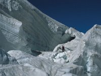 CH, Wallis, Saas-Almagell, Weissmies 24, Saxifraga-Jan van der Straaten