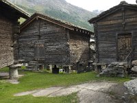 CH, Wallis, Saas Fee 16, Saxifraga-Willem van Kruijsbergen