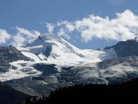 CH, Wallis, Saas Fee, Allalinhorn 2, Saxifraga-Willem van Kruijsbergen