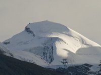 CH, Wallis, Saas Fee, Allalinhorn 4, Saxifraga-Willem van Kruijsbergen