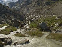 CH, Wallis, Saas Fee, Feegletscher 103, Saxifraga-Willem van Kruijsbergen - kopie