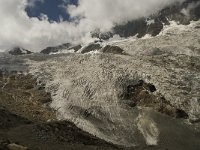 CH, Wallis, Saas Fee, Feegletscher 15, Saxifraga-Willem van Kruijsbergen