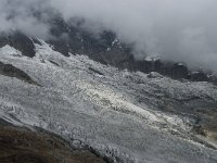 CH, Wallis, Saas Fee, Feegletscher 35, Saxifraga-Willem van Kruijsbergen