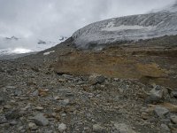 CH, Wallis, Saas Fee, Feegletscher 43, Saxifraga-Willem van Kruijsbergen