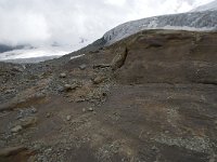 CH, Wallis, Saas Fee, Feegletscher 44, Saxifraga-Willem van Kruijsbergen