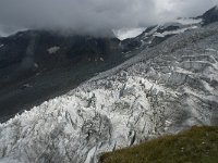 CH, Wallis, Saas Fee, Feegletscher 59, Saxifraga-Willem van Kruijsbergen