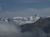 CH, Wallis, Saas Fee, Felskinn 11, Saxifraga-Willem van Kruijsbergen