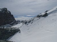 CH, Wallis, Saas Fee, Felskinn 5, Saxifraga-Willem van Kruijsbergen