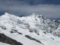 CH, Wallis, Saas Fee, Felskinn 8, Saxifraga-Willem van Kruijsbergen