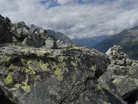 CH, Wallis, Saas Fee, Plattjen 3, Saxifraga-Willem van Kruijsbergen