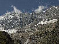 CH, Wallis, Saas Fee, Taschhorn-Dom 2, Saxifraga-Willem van Kruijsbergen