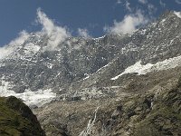 CH, Wallis, Saas Fee, Taschhorn-Dom 3, Saxifraga-Willem van Kruijsbergen