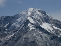 CH, Wallis, Saas Fee, Weissmies 3, Saxifraga-Willem van Kruijsbergen