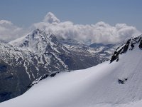 CH, Wallis, Saas-Fee, Mittelallalin 1, Saxifraga-Luuk Vermeer