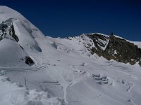 CH, Wallis, Saas-Fee, Mittelallalin 8, Saxifraga-Luuk Vermeer