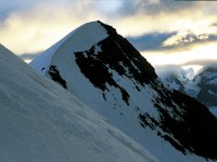 CH, Wallis, Saas-Fee, Ulrichtshorn 2, Saxifraga-Jan van der Straaten