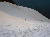 CH, Wallis, Saas-Fee, Windjoch 1, Saxifraga-Jan van der Straaten