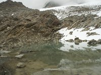 CH, Wallis, Saas Grund, Hohsaas 16, Saxifraga-Willem van Kruijsbergen