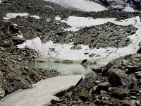 CH, Wallis, Saas Grund, Hohsaas 3, Saxifraga-Willem van Kruijsbergen