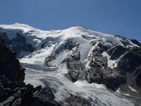 CH, Wallis, Saas Grund, Weissmies 1, Saxifraga-Willem van Kruijsbergen