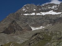 CH, Wallis, Saas Grund, Weissmieshuette 8, Saxifraga-Willem van Kruijsbergen