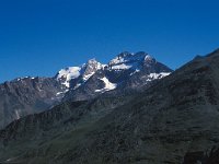 CH, Wallis, Saas-Grund, Lagginhorn 2, Saxifraga-Jan van der Straaten