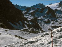 CH, Wallis, Val de Bagnes, Col Termin 3, Saxifraga-Jan van der Straaten