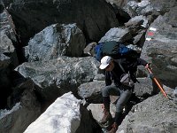 CH, Wallis, Val de Bagnes, Col Termin 4, Saxifraga-Jan van der Straaten