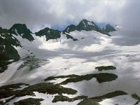 CH, Wallis, Val de Bagnes, Col de Prafleuri 1, Saxifraga-Jan van der Straaten