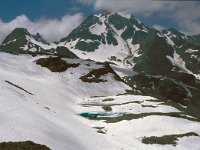 CH, Wallis, Val de Bagnes, Grand Désert 1, Saxifraga-Jan van der Straaten