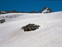 CH, Wallis, Val de Bagnes, Grand Désert 8, Saxifraga-Jan van der Straaten