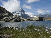 CH, Wallis, Zermatt, Gornergrat, Riffelsee 5, Saxifraga-Willem van Kruijsbergen