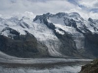 CH, Wallis, Zermatt, Gornergrat, Zwillinge-Breithorn 4, Saxifraga-Willem van Kruijsbergen