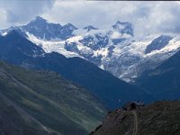 CH, Wallis, Zermatt, Obergabelhorn 1, Saxifraga-Jan van der Straaten