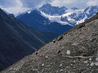 CH, Wallis, Zermatt, Obergabelhorn 2, Saxifraga-Jan van der Straaten