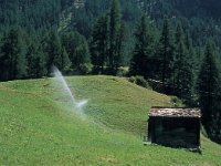 CH, Wallis, Zermatt, Zermatt 9, Saxifraga-Jan van der Straaten