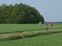 NL, Drenthe, Borger-Odoorn, Bronneger 3, Saxifraga-Hans Dekker