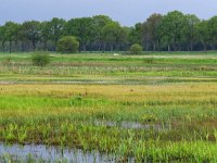 NL, Drenthe, Borger-Odoorn, LOFAR 13, Saxifraga-Hans Dekker